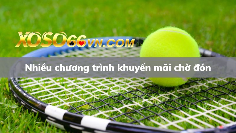 Nhiều khuyến mãi đang chờ đón tại nhà cái thể thao Xoso66