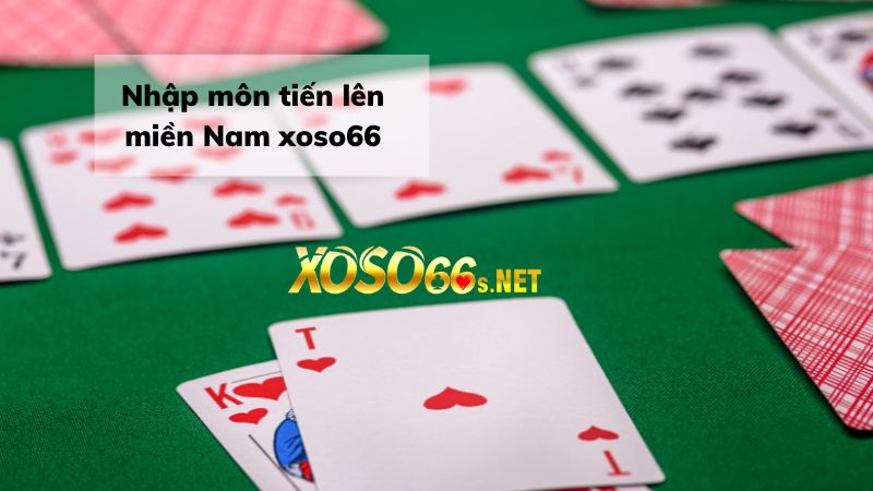 Học nhập môn tiến lên miền nam cùng xoso66